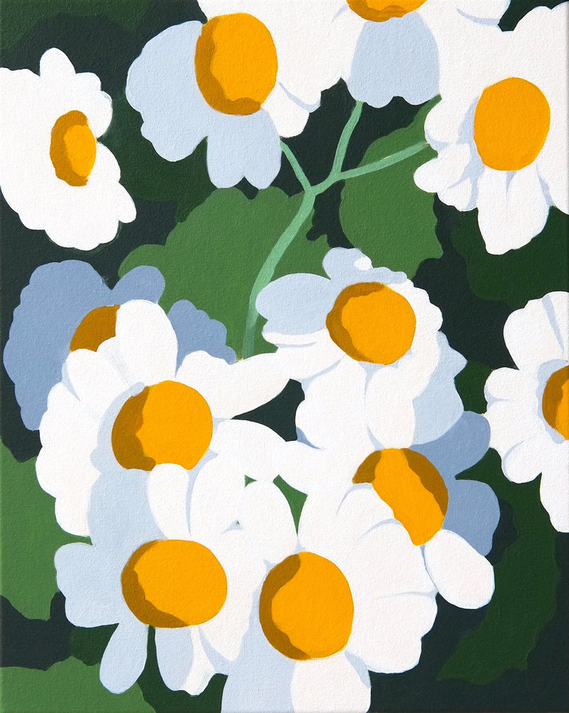 Feverfew (Yates) - Boom Gallery