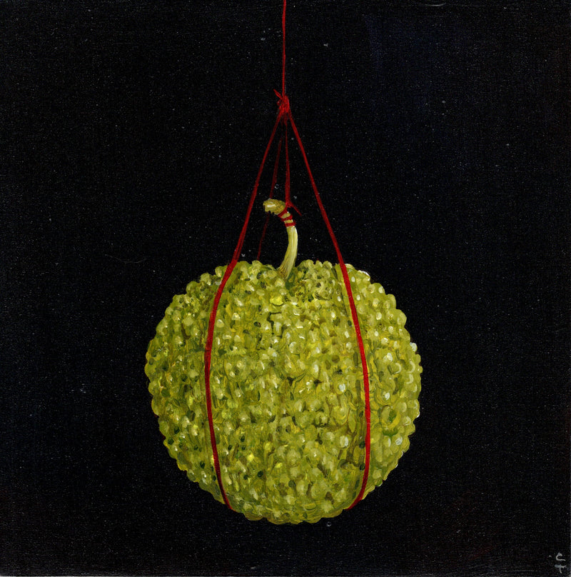 Hanging Osage Orange - Boom Gallery