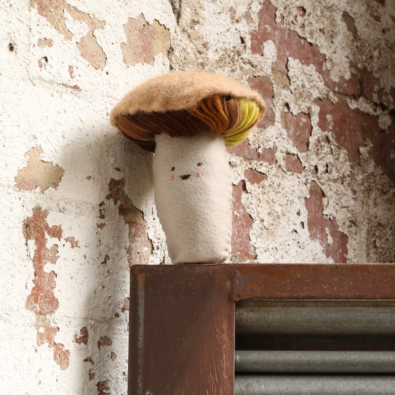 Only Fields & Trees (Brown / Grey Mushroom) - Boom Gallery