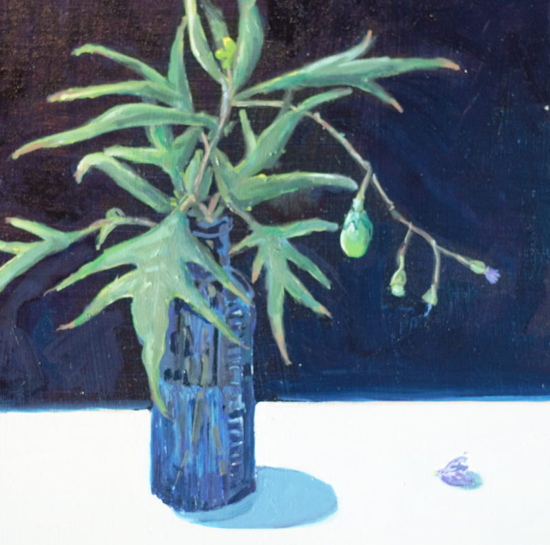 Flowers For The Ducks Pond Parsonage Kangaroo Apple - Boom Gallery