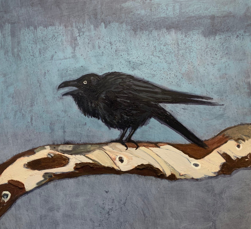 Study of a Crow - Boom Gallery