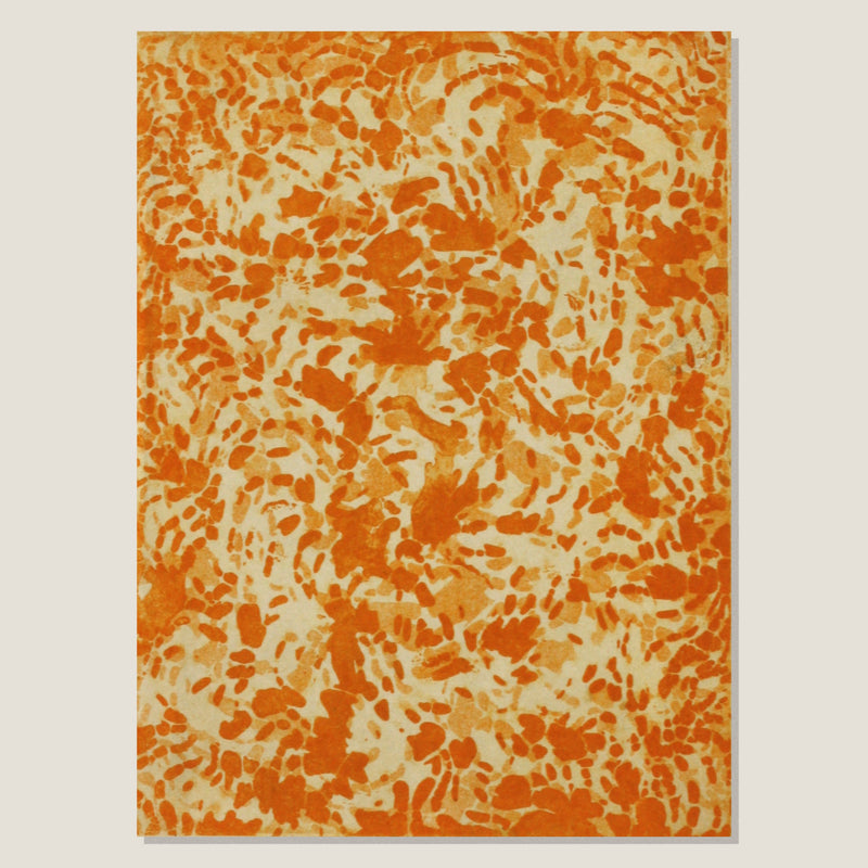 Apricot Delight (unframed)