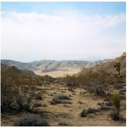 Joshua Tree National Park - Boom Gallery