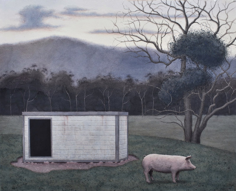 Young Pig and Hut - Boom Gallery