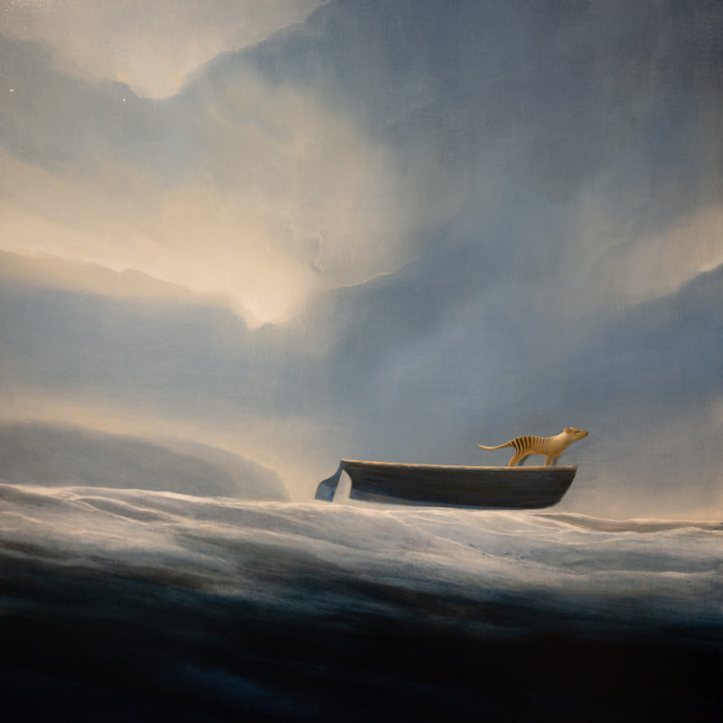 Southern Return - Boom Gallery