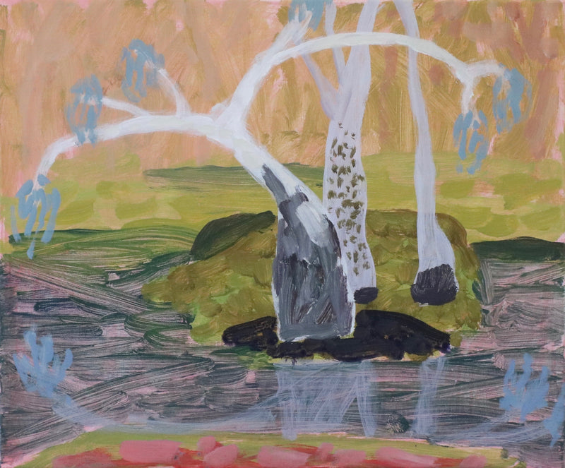 Spring with Still Water, Pollack Swamp