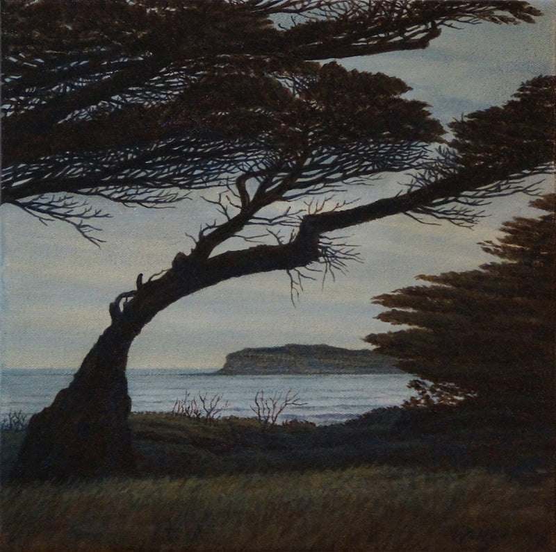 Looking South, Through The Trees II