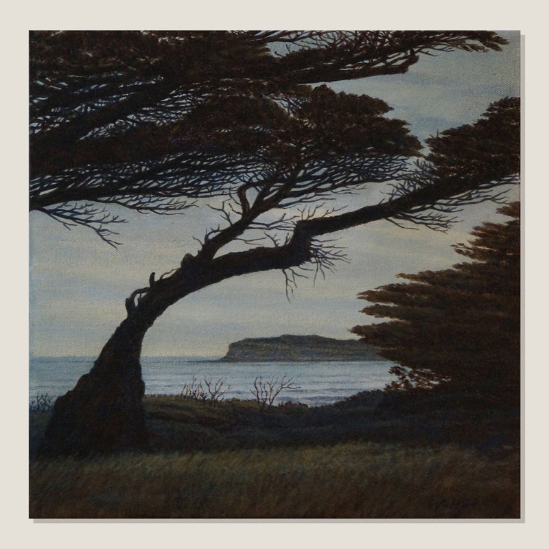 Looking South, Through The Trees II