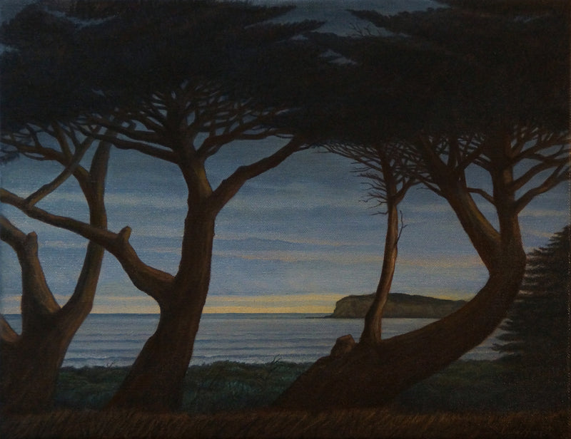 Looking South, Through The Trees