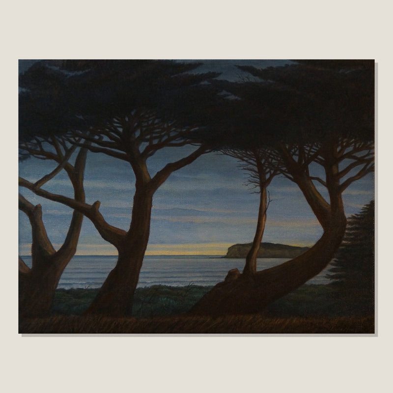 Looking South, Through The Trees