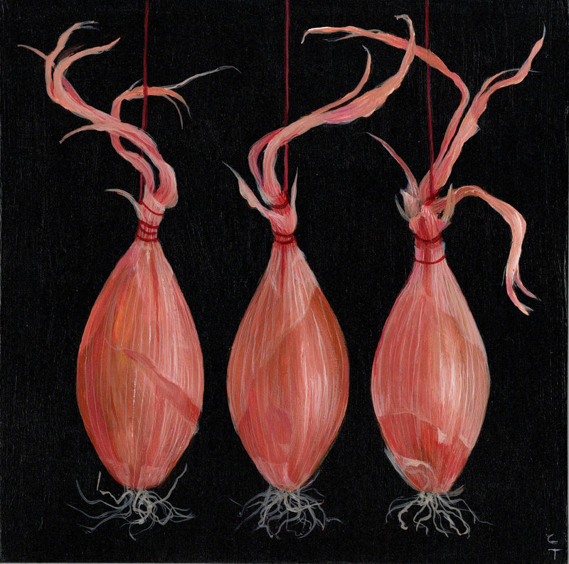 3 Hanging Shallots - Boom Gallery