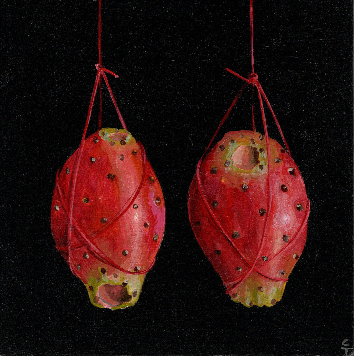 2 Hanging Prickly Pears
