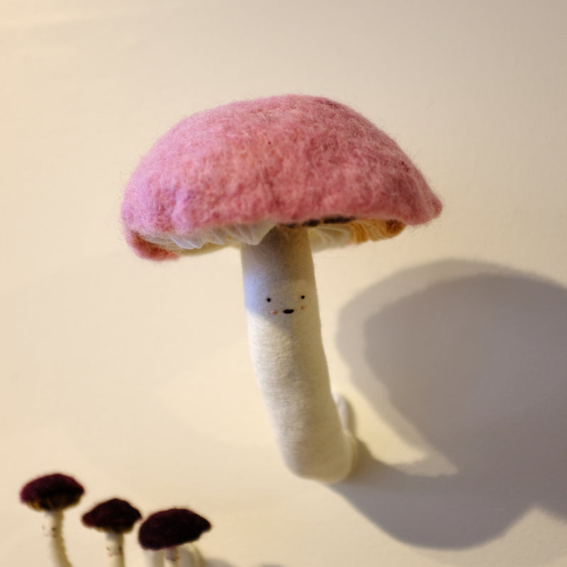 Only Fields & Trees (Pink Mushroom) - Boom Gallery